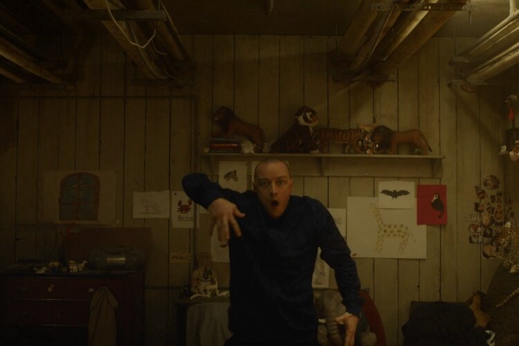 split-hedwig-filmloverss