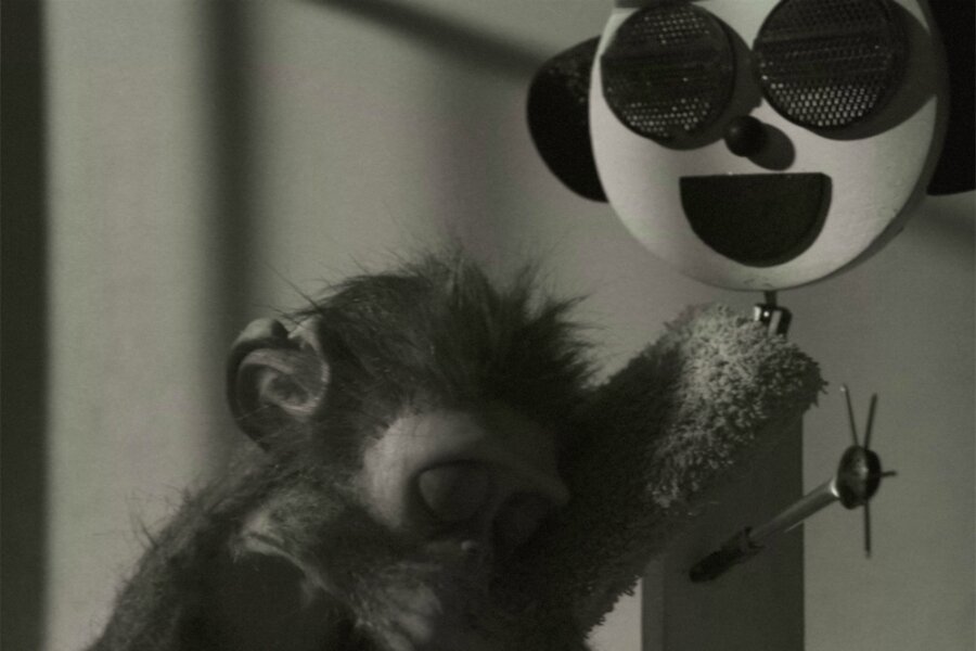 Haftanın Kısa Filmi: Monkey Love Experiments
