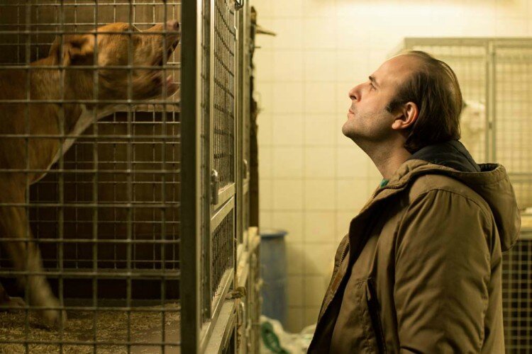 dog-filmloverss