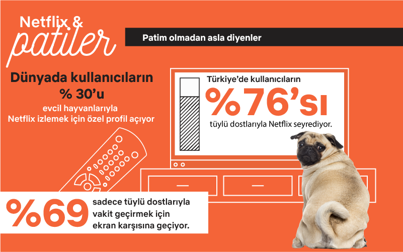 Netflix-Patiler-2-filmloverss.png