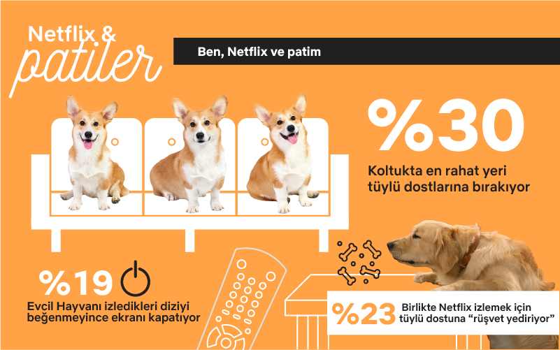 Netflix-Patiler-3-filmloverss