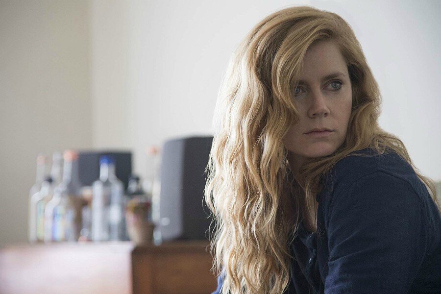 Amy Adams ve Adam McKay, Netflix Dizisi Kings of America İçin Yeniden Bir Araya Geliyor