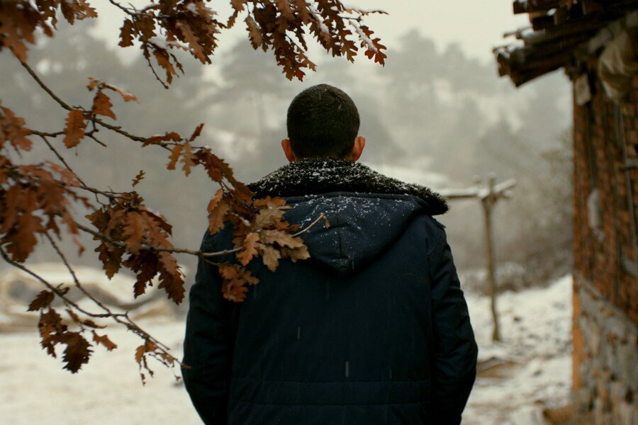 Başka Sinema’da Haziran 2018: Ahlat Ağacı