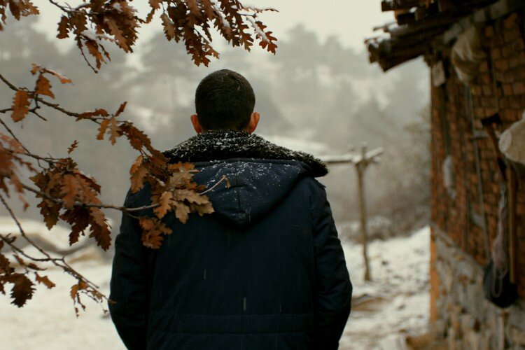 nuri-bilge-ceylan-ahlat-agaci-3-filmloverss