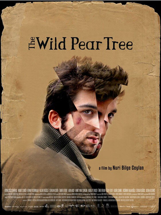 nuri-bilge-ceylan-ahlat-agaci-poster-filmloverss