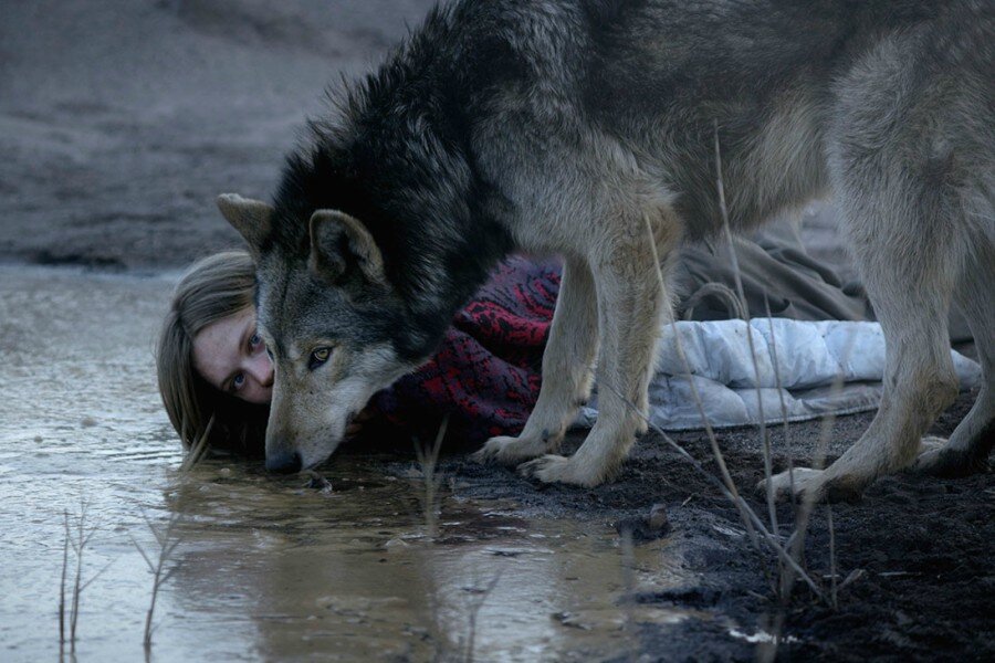 Thelma ve Wild Üzerinden Kadının Vahşi Benliğiyle Tanışması