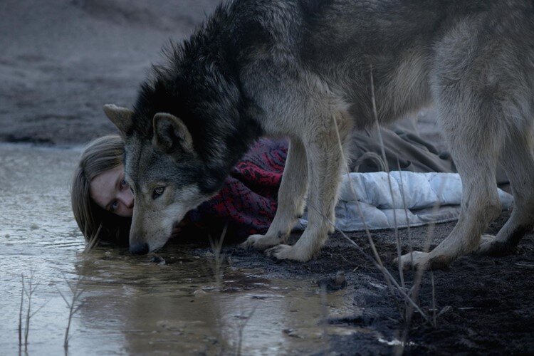 wild-filmloverss