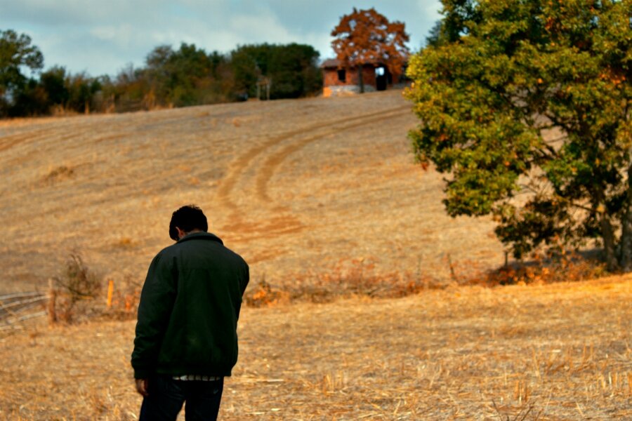 Nuri Bilge Ceylan ile Cannes Film Festivali’nin Yönetimi Arasındaki Anlaşmazlık Ahlat Ağacı’nın Gösterim Gününü Etkiledi Mi?