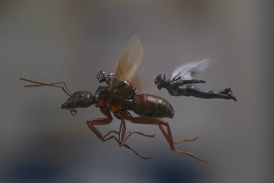 Ant-Man and the Wasp Vizyona Girdiği İlk Hafta Sonunda Gişenin Zirvesinde Yer Alarak, Art Arda Bu Başarıya Ulaşan 20. Marvel Sinematik Evreni Filmi Oldu