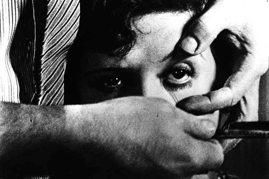 Endülüs Köpeği: Yeni Bir Bakış Arayışı