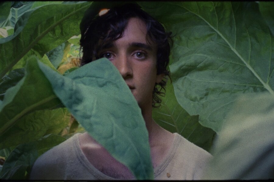 Mutlu Lazzaro – Lazzaro Felice