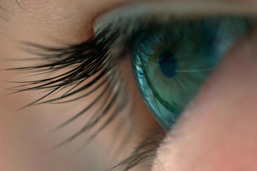 Terrence Malick’ten Sıra Dışı Bir Sanal Gerçeklik Projesi Geliyor: Evolver