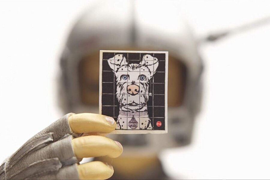 Wes Anderson Sinemasında Bakışın Etkin Kullanımı