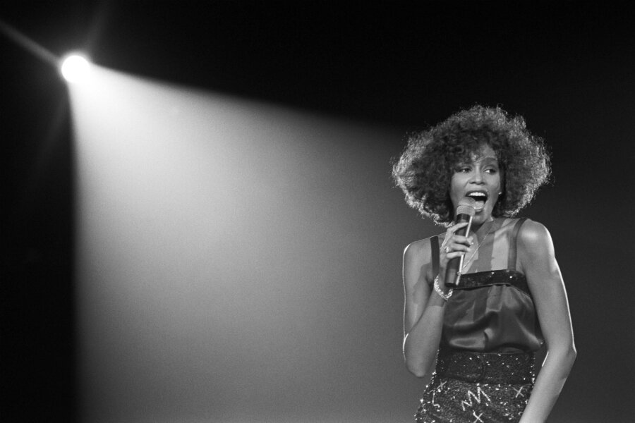 Başka Sinema’da Kasım 2018: Whitney