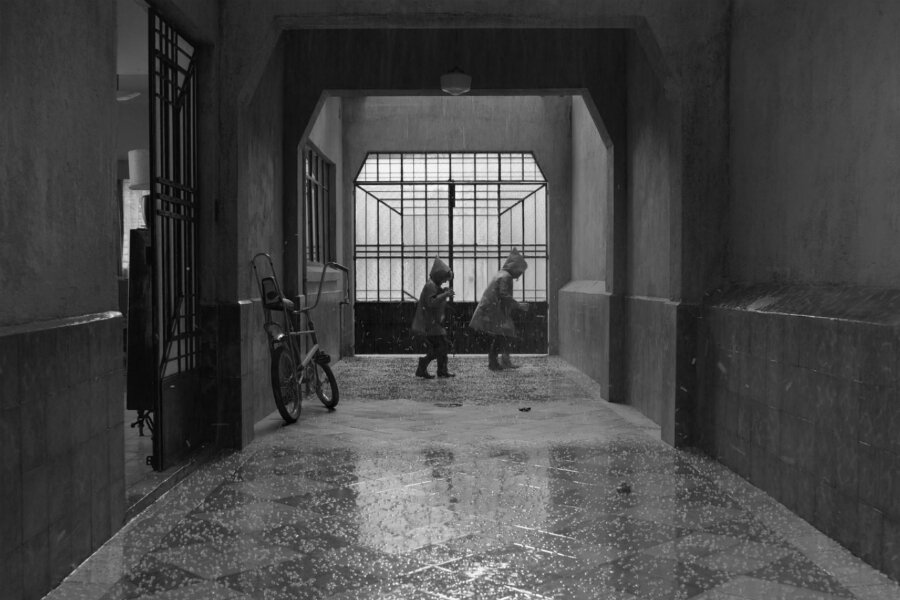 2018 North Carolina Film Eleştirmenleri Birliği Ödülleri Sahiplerini Buldu