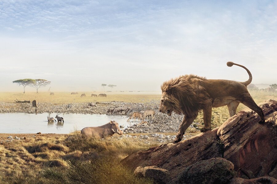 2019 Yılında Dünyaca Ünlü Belgeselcilerin Yapımları BBC Earth’te Yayınlanacak