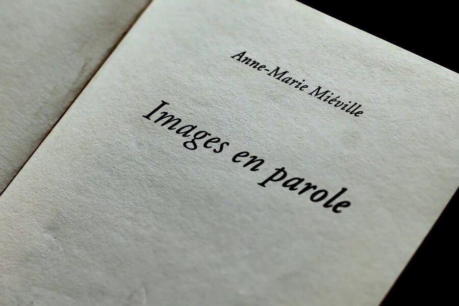 İmgeler ve Sözcükler – Le livre d’image