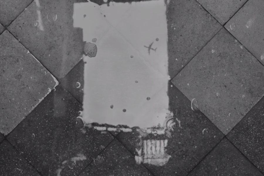 Alfonso Cuarón Filmlerinde Su İmgesi