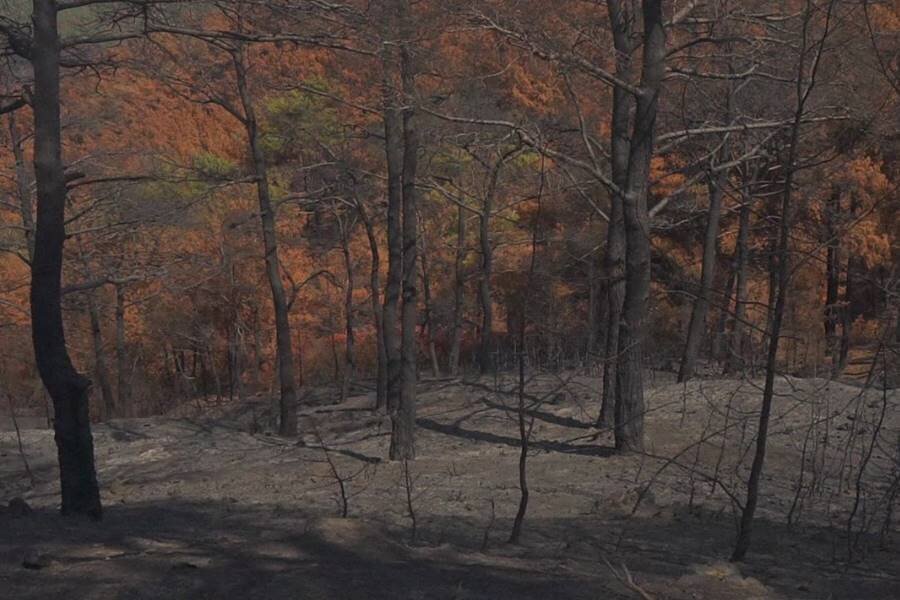 Gürcan Keltek İmzalı Yeni Şafak Solarken, Berlin Film Festivali’nin Dünya Sinema Fonu’ndan Prodüksiyon Desteği Kazandı