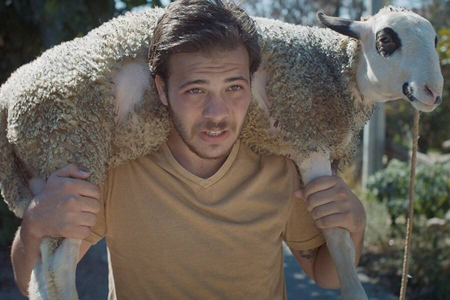 38. İstanbul Film Festivali’nin Programı Açıklandı