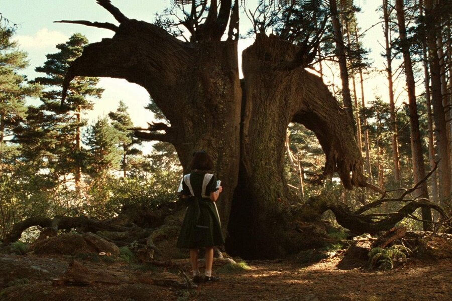 Pan’s Labyrinth Hakkında Mutlaka Bilinmesi Gereken 15 Detay