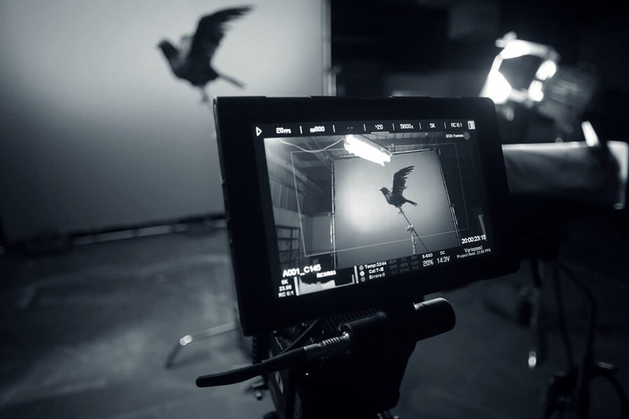 Kısa Film Çekmek İsteyen Yönetmen Adaylarına Tavsiyeler