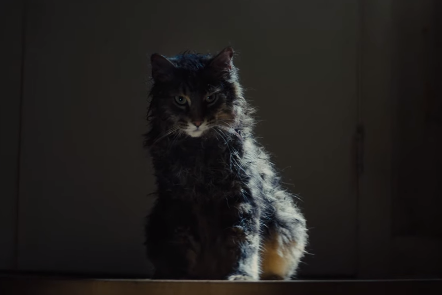 Hayvan Mezarlığı – Pet Sematary