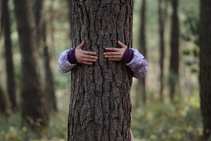 26. Adana Uluslararası Film Festivali Günlükleri: Küçük Şeyler, Bağlılık – Aslı
