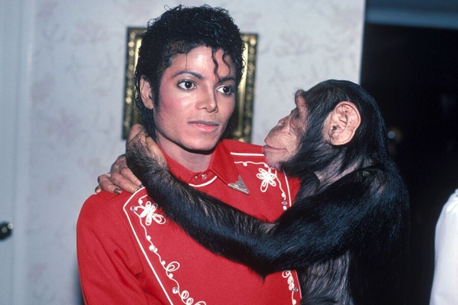 Taika Waititi ve Netflix, Michael Jackson’ın Şempanzesine Odaklanan Bubbles Projesinden Çekildi