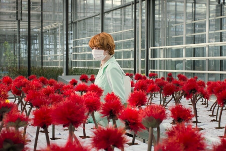 beIN CONNECT Ağustos Ayı Programı