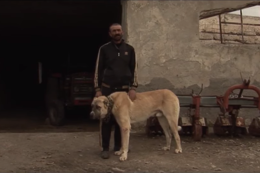 Kaan Müjdeci’nin Kısa Belgeseli Babalar ve Oğulları, YouTube’a Yüklendi