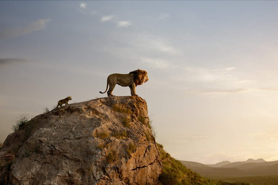 Aslan Kral – The Lion King