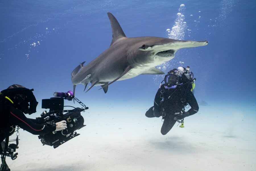 Mavi Gezegen’e Dönüş BBC Earth’te İzleyiciyle Buluşuyor