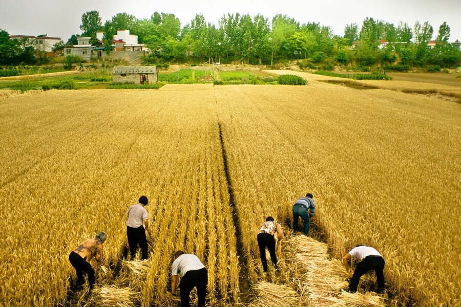 İlk Bakış: Jia Zhangke’nin Yeni Belgeseli So Close My Land