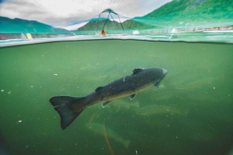İklim Değişikliğine Değinen Belgeseller Önümüzdeki Ay SALT Beyoğlu ve Goethe Institut-Ankara’da İzleyici ile Buluşacak