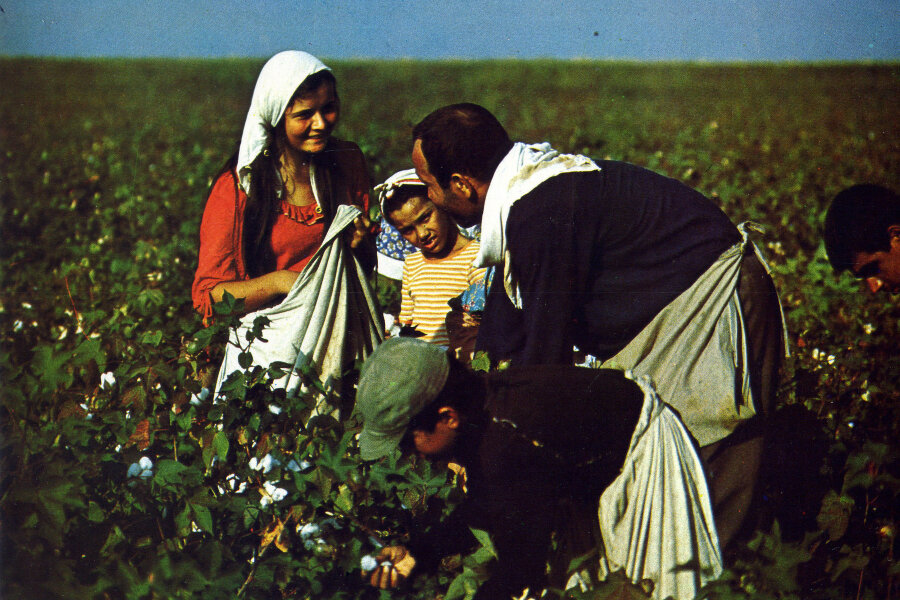 Bereketli Topraklar Üzerinde: Ekmeği Topraktan Çıkarmak