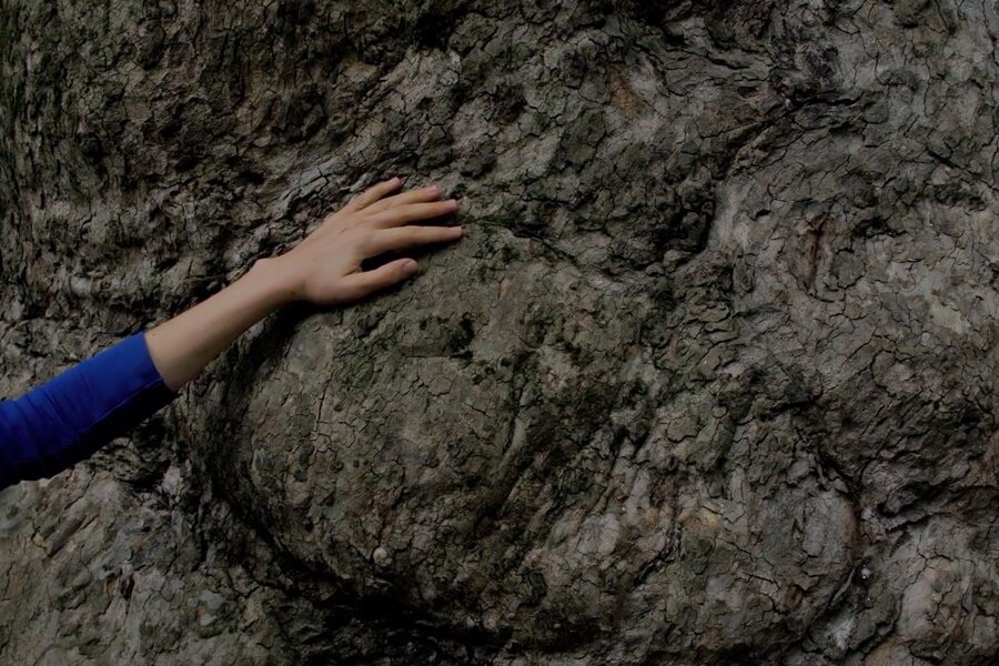 Jasmin İhraç’ın Performatif Filmi Daimî Değişimler, Sessiz Tanıklar, İlk kez SALT Beyoğlu’nda Sunulacak