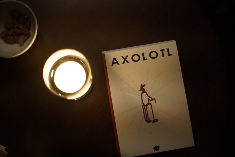 Sinemacılardan İçeriğiyle Yayın Dünyasına Farklı Bir Bakış Getiren Yeni Bir Mecmua: Axolotl