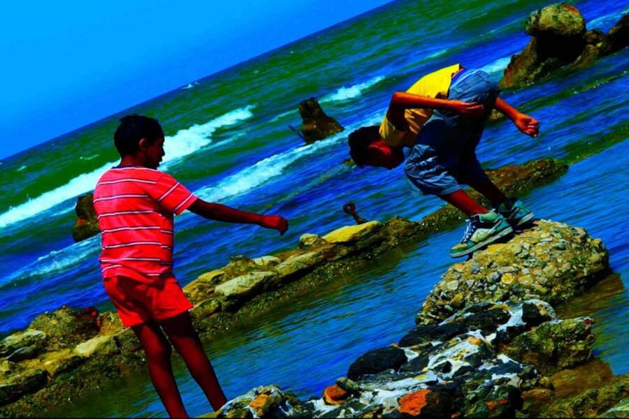 Cahiers du Cinéma’ya Göre 2019’un En İyi 10 Filmi