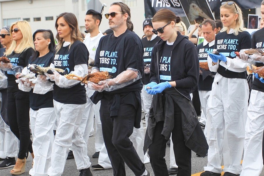 Tiger King’in Başarısından Sonra Joaquin Phoenix ve Rooney Mara Gibi İsimler Büyük Kedileri Korumaları İçin Kongre’ye Çağrıda Bulundu