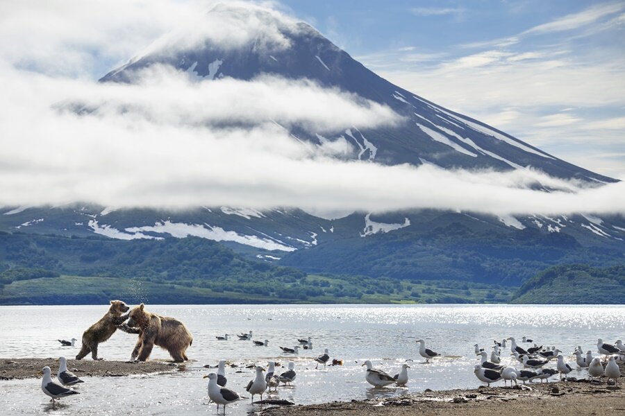 BBC’nin Yeni Belgesel Dizisi A Perfect Planet’tan Fragman Yayınlandı