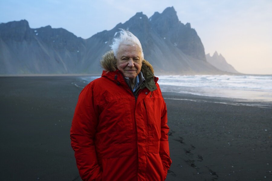 Sir David Attenborough, A Perfect Planet Belgeseliyle İlgili Soruları Cevapladı
