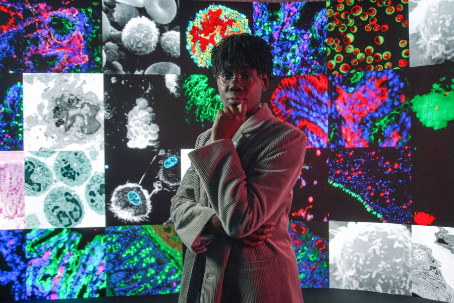 Pandemi Sürecini Farklı Yönleriyle Ele Alan Dört Belgesel Nisan Ayında BBC Earth’te Ekrana Gelecek