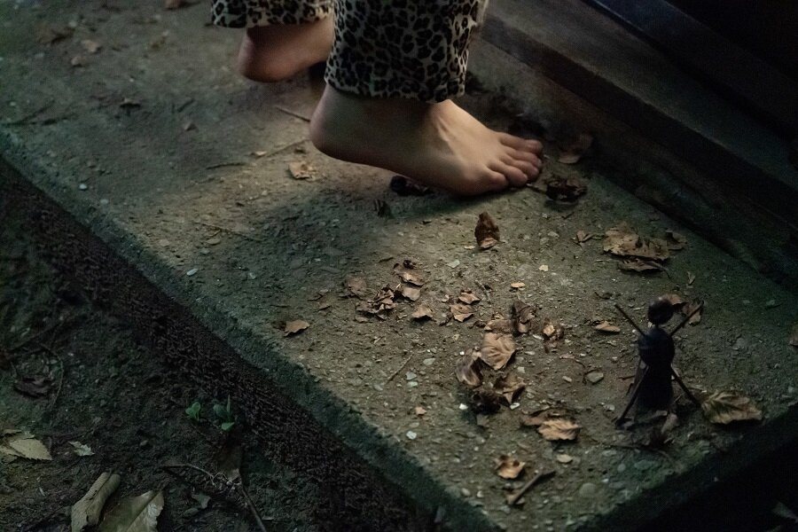 The Chestnut Man – Kastanjemanden Değerlendirmesi