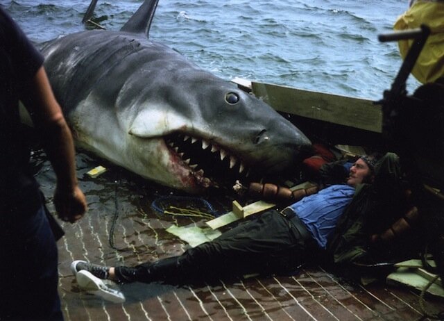 Jaws-FL