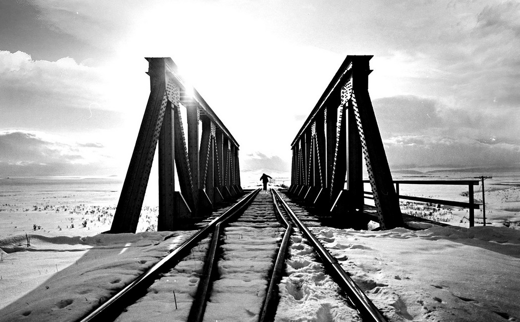 Sırbistan’ın en iyisi ‘Soğuk’